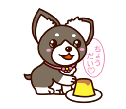 Chi-chan of Chihuahua dog. sticker #6361983