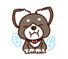 Chi-chan of Chihuahua dog. sticker #6361984