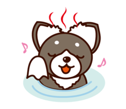 Chi-chan of Chihuahua dog. sticker #6361986