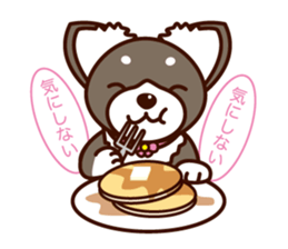 Chi-chan of Chihuahua dog. sticker #6361989