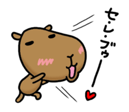 funny capybara sticker2 sticker #6362632