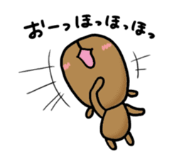 funny capybara sticker2 sticker #6362633