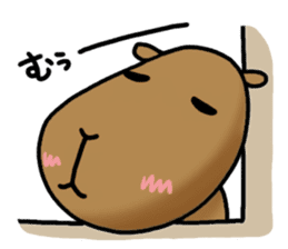 funny capybara sticker2 sticker #6362646