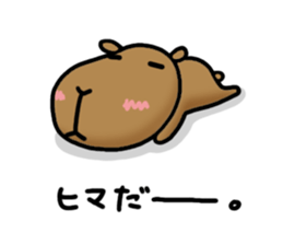 funny capybara sticker2 sticker #6362668