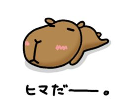 funny capybara sticker2 sticker #6362668