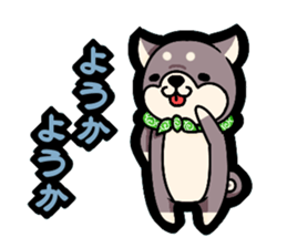 Shiga accent sticker sticker #6363282