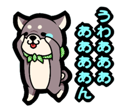 Shiga accent sticker sticker #6363287