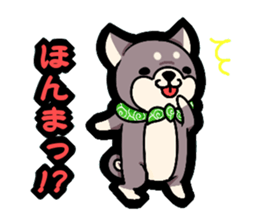 Shiga accent sticker sticker #6363291