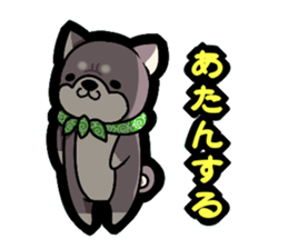 Shiga accent sticker sticker #6363300