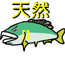 ayu fishday Sticker sticker #6363853