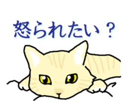 A dog and a cat, sometimes a turtle sticker #6365075