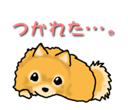 A dog and a cat, sometimes a turtle sticker #6365078