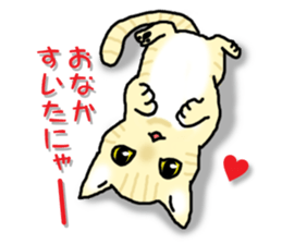 A dog and a cat, sometimes a turtle sticker #6365089