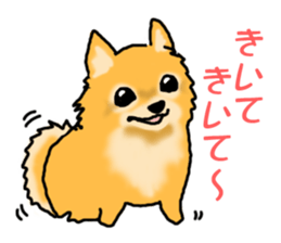 A dog and a cat, sometimes a turtle sticker #6365090