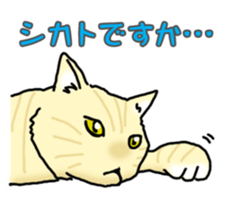 A dog and a cat, sometimes a turtle sticker #6365108