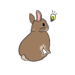 Cute rabbit life
