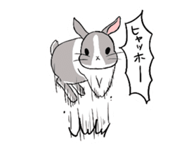 Cute rabbit life sticker #6366321