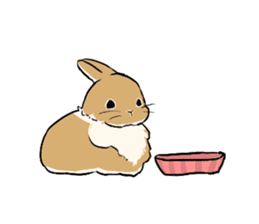 Cute rabbit life sticker #6366323