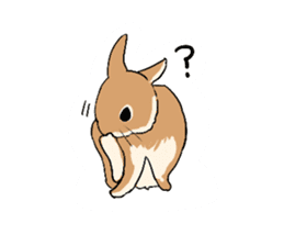 Cute rabbit life sticker #6366328
