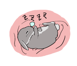 Cute rabbit life sticker #6366329