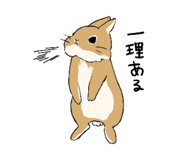 Cute rabbit life sticker #6366333