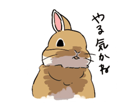 Cute rabbit life sticker #6366345