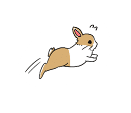 Cute rabbit life sticker #6366347