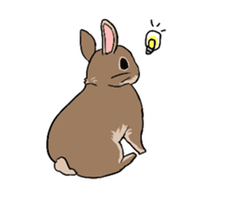Cute rabbit life sticker #6366350