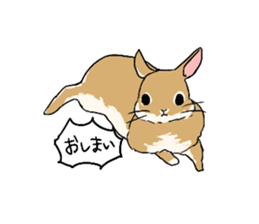 Cute rabbit life sticker #6366351