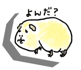 Kintoki of guinea pig sticker #6367558