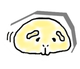 Kintoki of guinea pig sticker #6367565