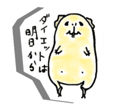 Kintoki of guinea pig sticker #6367566