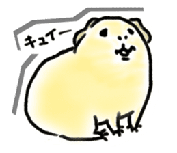 Kintoki of guinea pig sticker #6367569