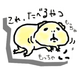 Kintoki of guinea pig sticker #6367570