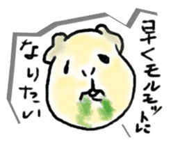 Kintoki of guinea pig sticker #6367572