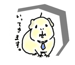 Kintoki of guinea pig sticker #6367587