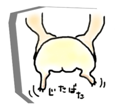 Kintoki of guinea pig sticker #6367588