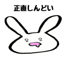 Rabbit face funny sticker #6370447