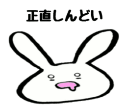 Rabbit face funny sticker #6370447