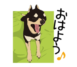 Chihuahua Coco & Louis and Friends vol.1 sticker #6371792