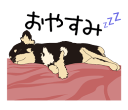 Chihuahua Coco & Louis and Friends vol.1 sticker #6371793