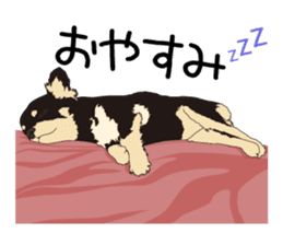 Chihuahua Coco & Louis and Friends vol.1 sticker #6371793