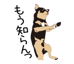 Chihuahua Coco & Louis and Friends vol.1 sticker #6371794