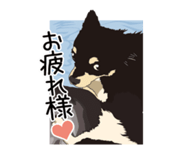 Chihuahua Coco & Louis and Friends vol.1 sticker #6371795