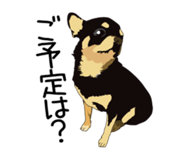 Chihuahua Coco & Louis and Friends vol.1 sticker #6371798