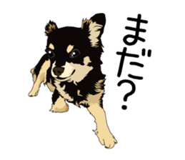 Chihuahua Coco & Louis and Friends vol.1 sticker #6371799