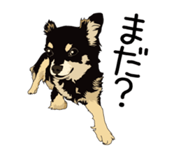 Chihuahua Coco & Louis and Friends vol.1 sticker #6371799