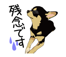 Chihuahua Coco & Louis and Friends vol.1 sticker #6371800