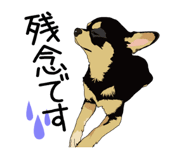 Chihuahua Coco & Louis and Friends vol.1 sticker #6371800