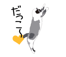 Chihuahua Coco & Louis and Friends vol.1 sticker #6371804